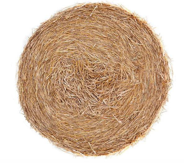1704952973117521.png